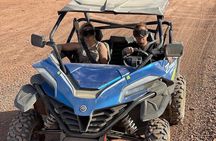 Buggys and camel ride to the Palmeraie