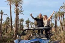 Buggys and camel ride to the Palmeraie