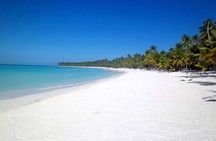 Full-Day Saona Island Tours All Inclusive