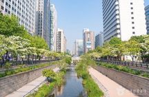 Real traditional market Dongmyo Flea & Gwangjang market tour