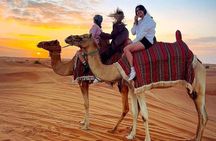 DOHA :Half Day Desert Safari Sandboarding Camel & Inland sea Tour