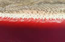 Pink Lake & Giant Salt Crystals – Great Salt Lake Adventure