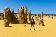 Turquoise Coast and Pinnacles Desert, Lunch Included.
