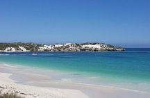 Turquoise Coast and Pinnacles Desert, Lunch Included.