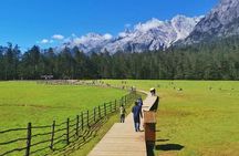 1-Day Jade Dragon Snow Mountain & Dongba Culture Experience