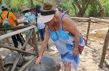 Prison Island and Nakupenda Sandbank with lunch and Guide