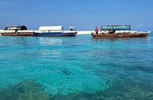 Prison Island and Nakupenda Sandbank with lunch and Guide