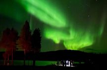 Aurora Hunting Tour from Saariselkä/Inari