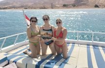 Snorkeling in Ain Sokhna( Red Sea) Over Day From Cairo