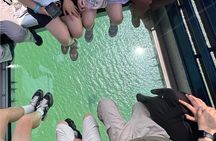 Private Lantau Tour: Crystal Cable Car & Dolphin Boat Ride