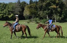 Panoramic 2-Hour Horseback Ride on Monte Gaggio (Intermediate)