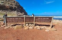 Cape Peninsula Tour