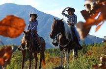 Panoramic 2-Hour Horseback Ride on Monte Gaggio (Intermediate)
