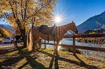 Panoramic 2-Hour Horseback Ride on Monte Gaggio (Intermediate)