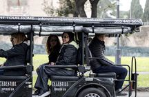 Semi PRIVATE GOLF CART TOUR Must see Highlights in Comfort