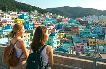 Busan Private Custom Tour with a Local: Highlights & Gems