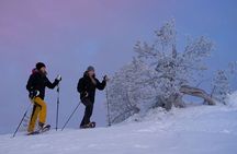 Winter Snowshoeing in the Finnish Wilderness