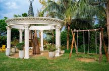  Hai Van Pass Car Tour