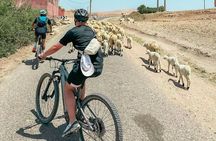 Day Trip: E-bike Atlas Mountains adventure