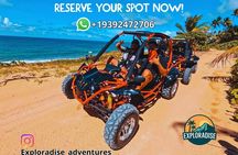 Piñones Beach Buggy + El Yunque Waterfall Adventure