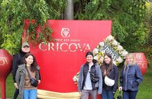 1 Day Moldova Old Orhei & Curchi monasteries & Optional Cricova 