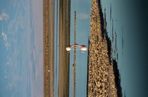 Full Day Tour to Piedras Rojas, Altiplanic Lagoons and Chaxa