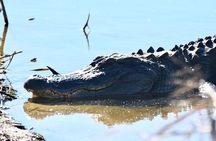 Bulls Island Ferry Adventure