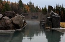 Golden Circle Tour with Laugarás Lagoon Admission