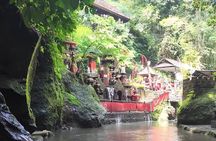 Balinese Cultural Experience