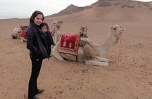 Sahara Desert Day From Agadir