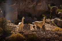 6-hour tour to Valle del Arcoíris