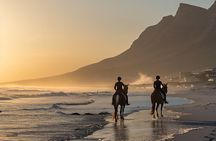 Noordhoek: Private Beach Horseback Riding in Cape Town