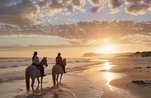 Noordhoek: Private Beach Horseback Riding in Cape Town