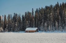 Shared Tour in Lake Louise Emerald lake & Johnston Canyon & More!