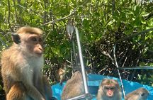 Negombo Private Tuk-Tuk City Tour with All Entry Fees Included