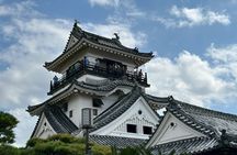Kochi Castle & Hirome Market: Half-Day Tour with Local Guide
