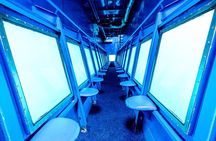 Roatan Glass Bottom Boat Tours and Beach Options