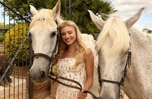 Barcelona: Private Vineyard Horseback Riding with Tapas Picnic