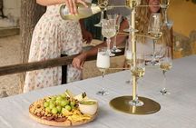 Barcelona: Private Vineyard Horseback Riding with Tapas Picnic