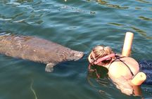 Manatee Magic Private 3 Hour Swim Heated Boat with Restroom