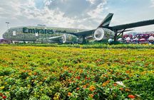 Dubai Miracle Garden Entry with Hotel Transfers