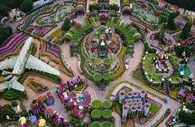 Dubai Miracle Garden Entry with Hotel Transfers