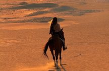 Fayoum Magic Lake Desert Horseback Ride Experience