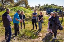 Bendigo Chinese Heritage Tour with Morning Tea Sundays
