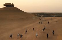 Fayoum Magic Lake Desert Horseback Ride Experience