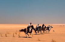 Fayoum Magic Lake Desert Horseback Ride Experience