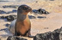 7 Days Tour Galapagos Island Hopping with 3 Islands