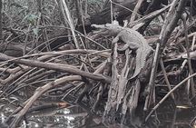 Boat adventure with wildlife viewing in Tamarindo
