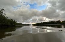 Boat adventure with wildlife viewing in Tamarindo