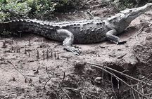 Boat adventure with wildlife viewing in Tamarindo